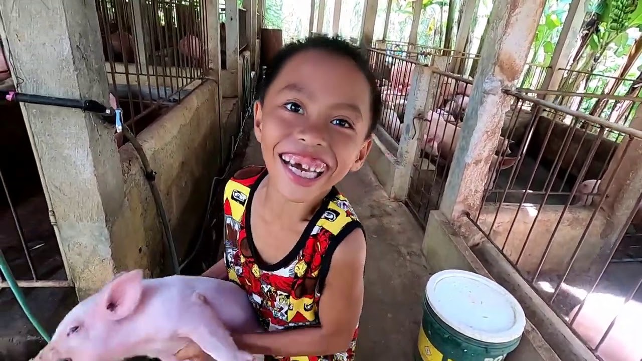 May Nilipat na naman Kaming Dalawang Inahing Malapit nang Manganak | TERZAGHI TV