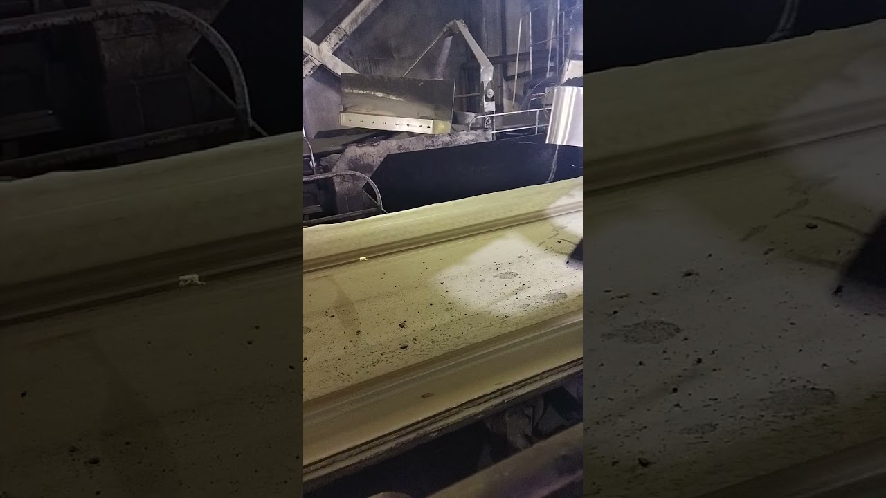 Plough feeder (bunker floor).