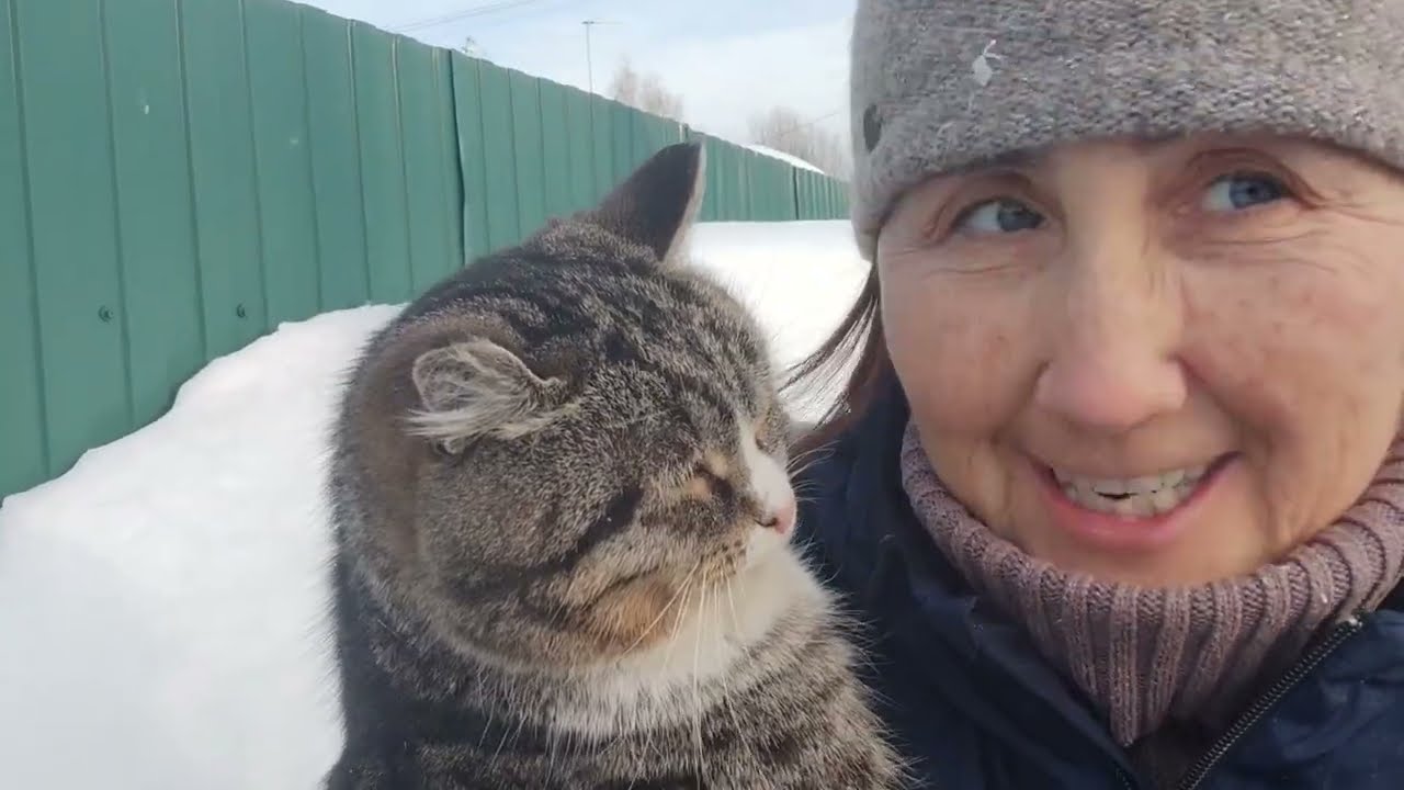 Предпраздничный день. Дождь из опилок