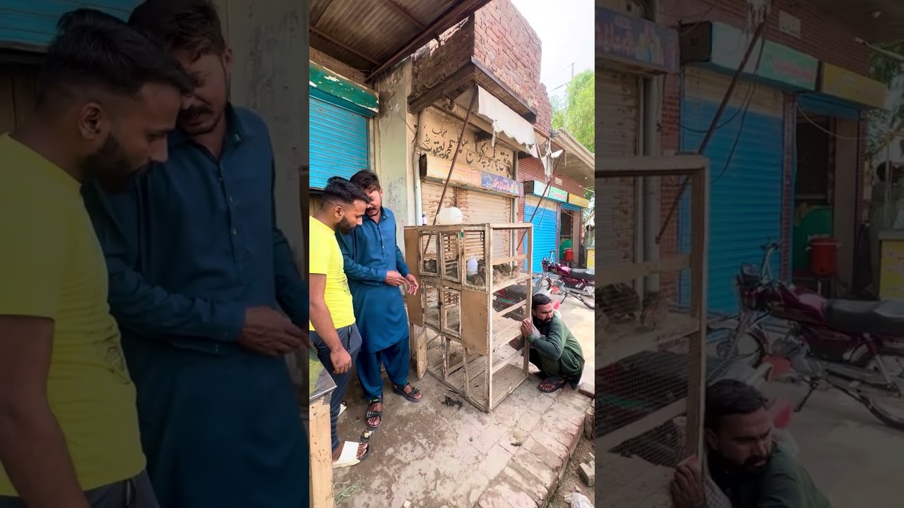 بے روزگار لوگوں کے لیے خوشخبری