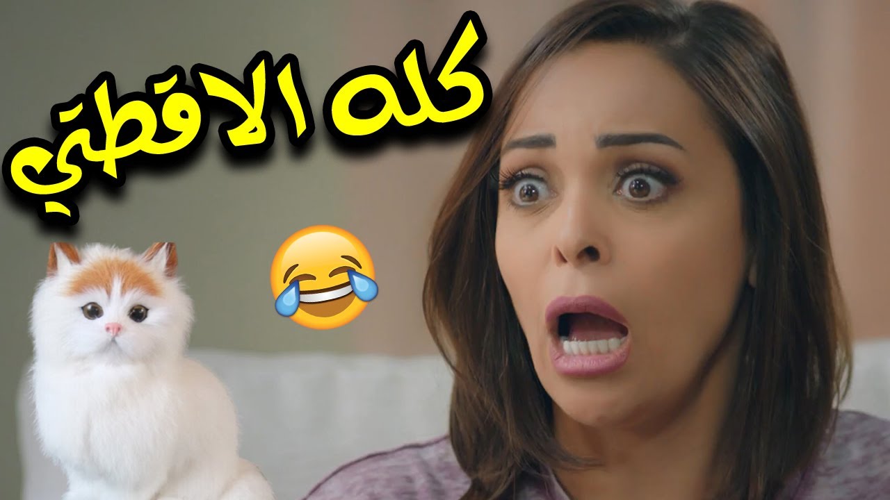 🤣😂 لما ترفضي تربي قطة في البيت وفي الآخر تأكيها وتنيميها مكان جوزك 😅 حد يسرب القطـة