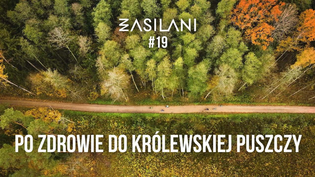Po zdrowie do królewskiego lasu. Puszcza Knyszyńska. Zasilani #19
