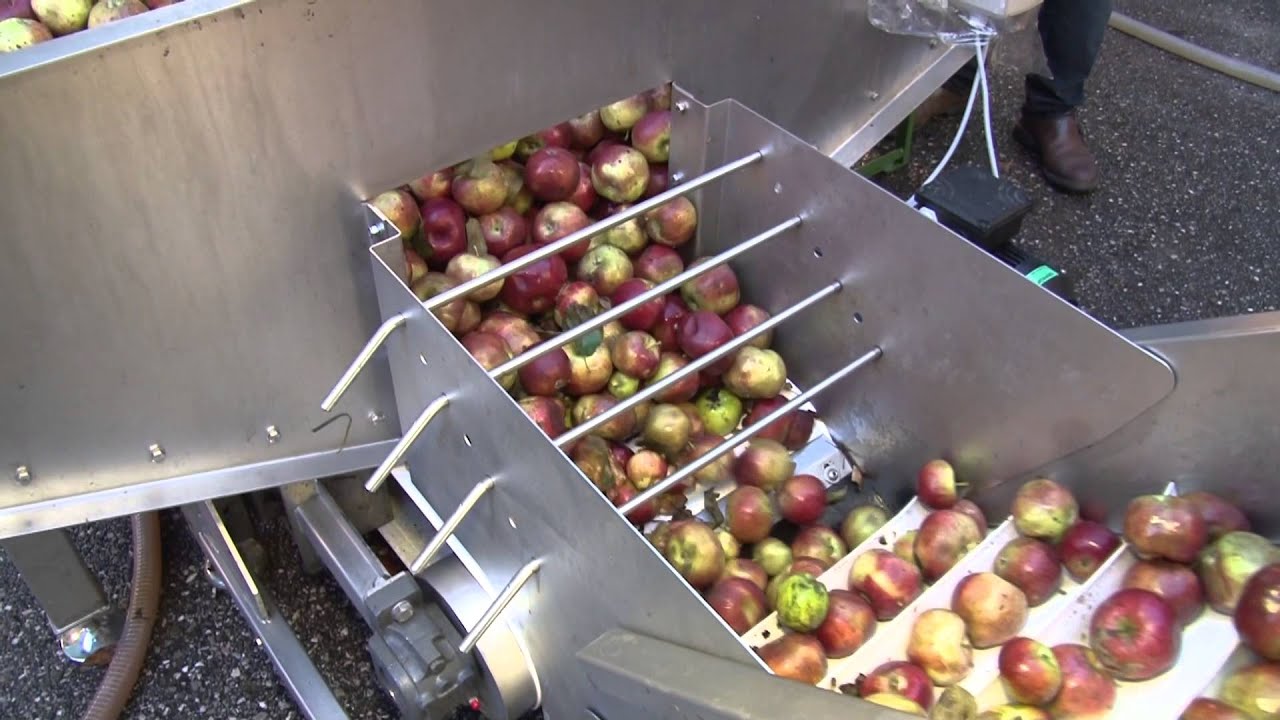 Obstannahme Donautaler Mostkellerei
