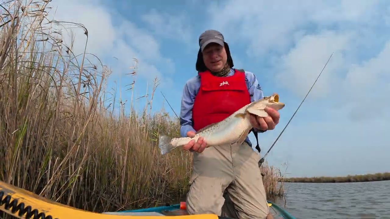 A Limit of Trout and Gar Galore