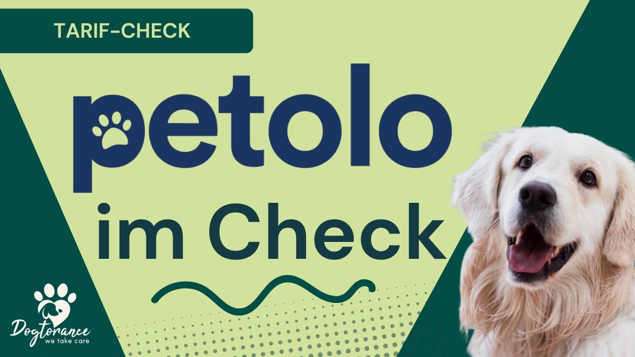 Petolo Hundekrankenversicherung im Check – lohnt sich der Schutz für deinen Vierbeiner?