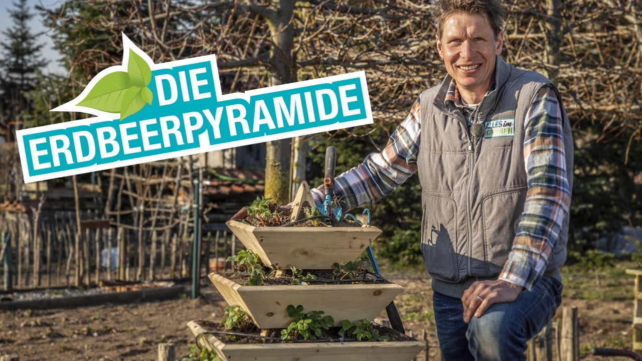 Vertikaler Garten: Erdbeerpyramide selber bauen
