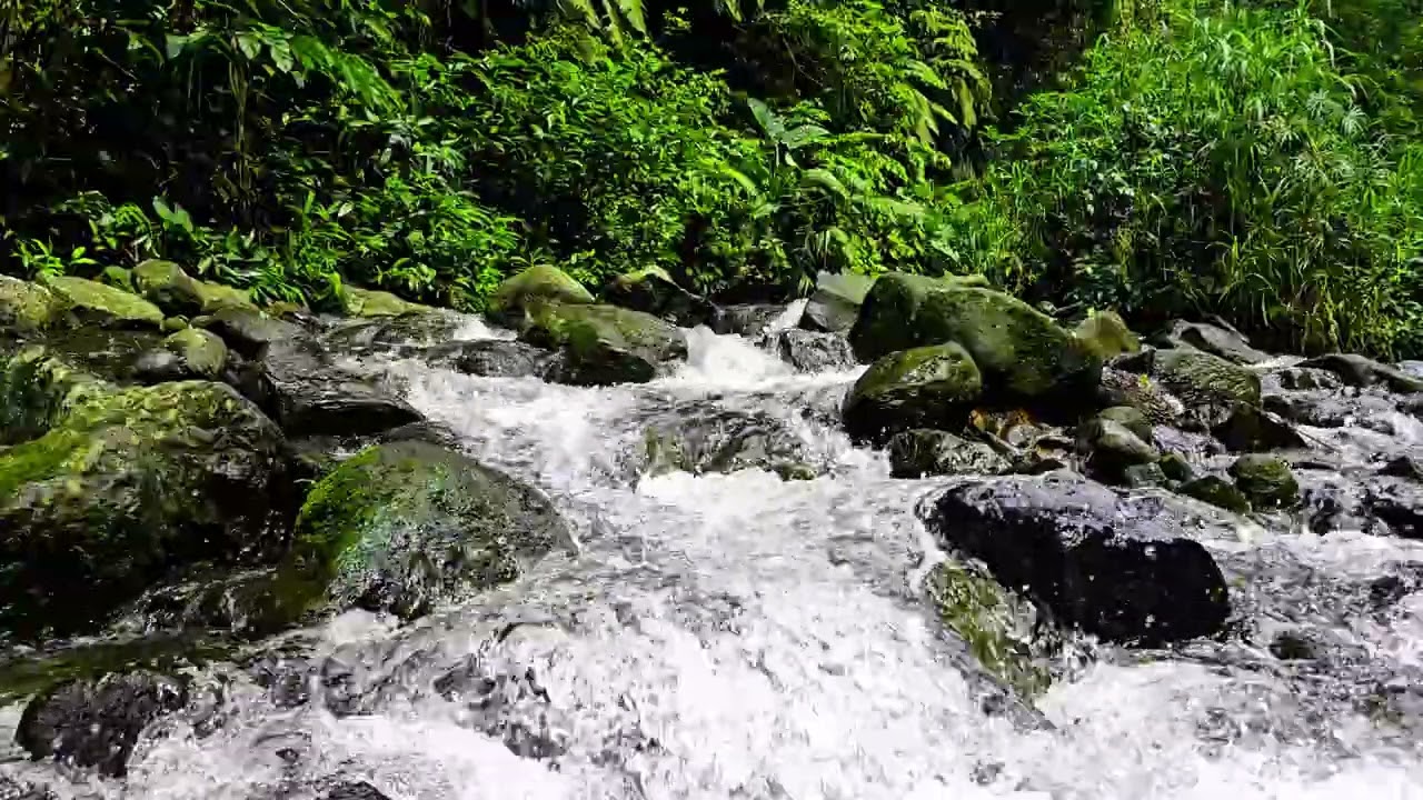 Peaceful River ASMR 4K  3 Hours of Natural Water Sounds for Sleep & Stress Relief