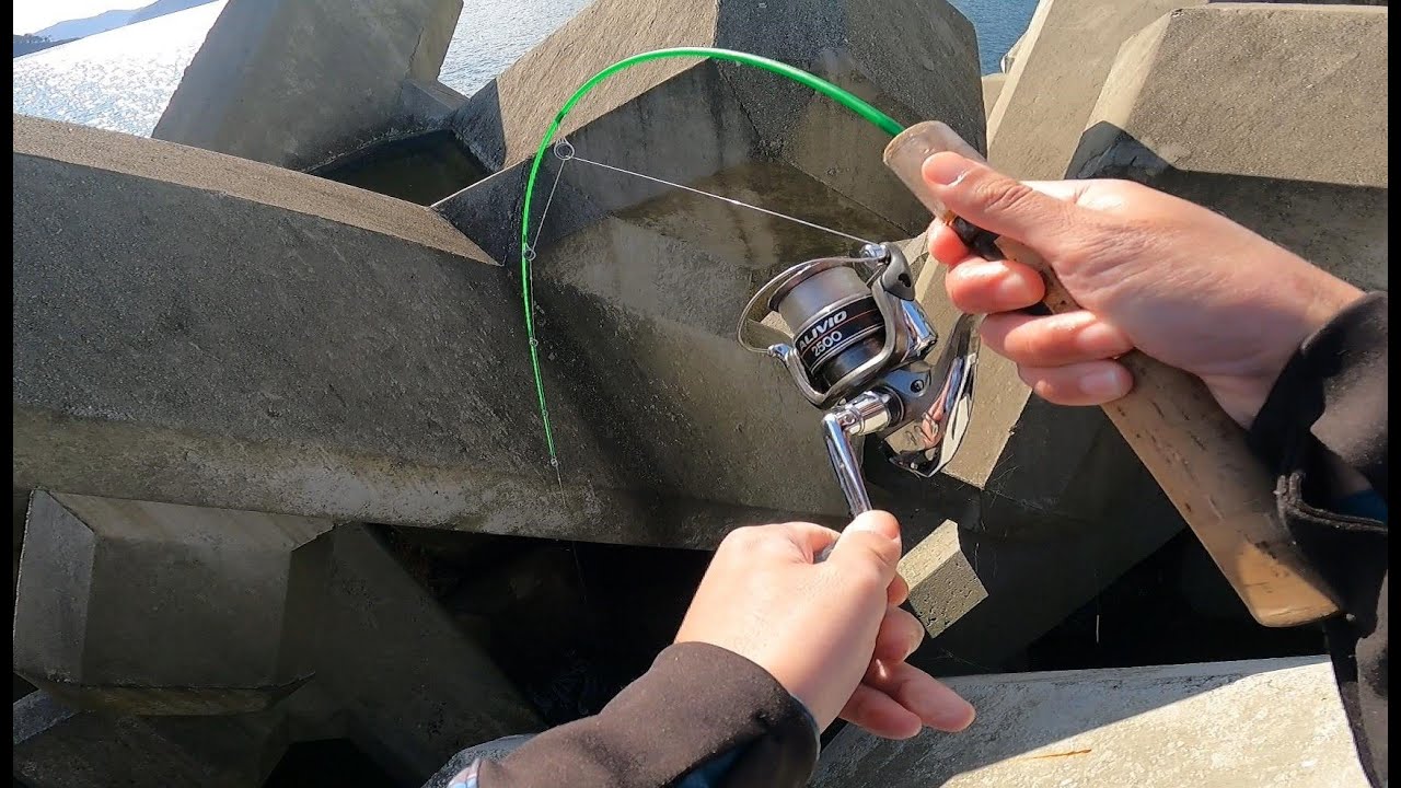 【穴釣り】無限に釣れる穴から大物を引きずり出す‼️