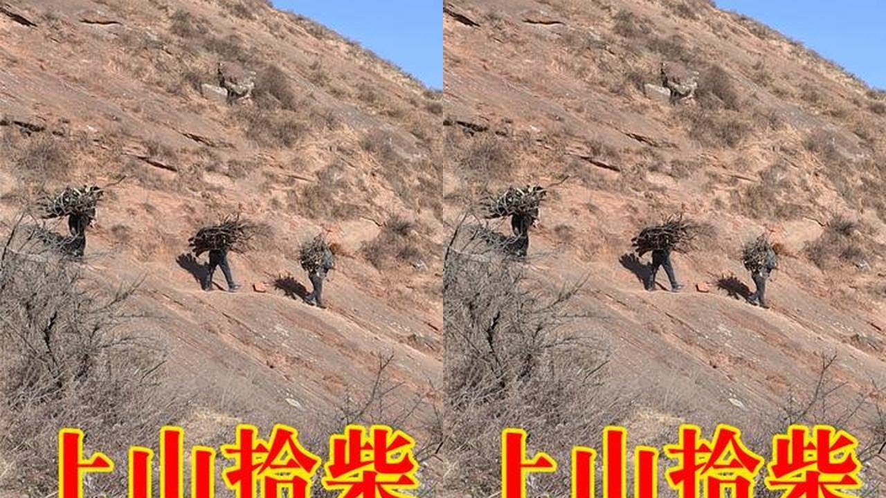 兄弟上山拾柴，途中发现少了个人，找人时却发生让人哭笑不得的事 #我的乡村生活