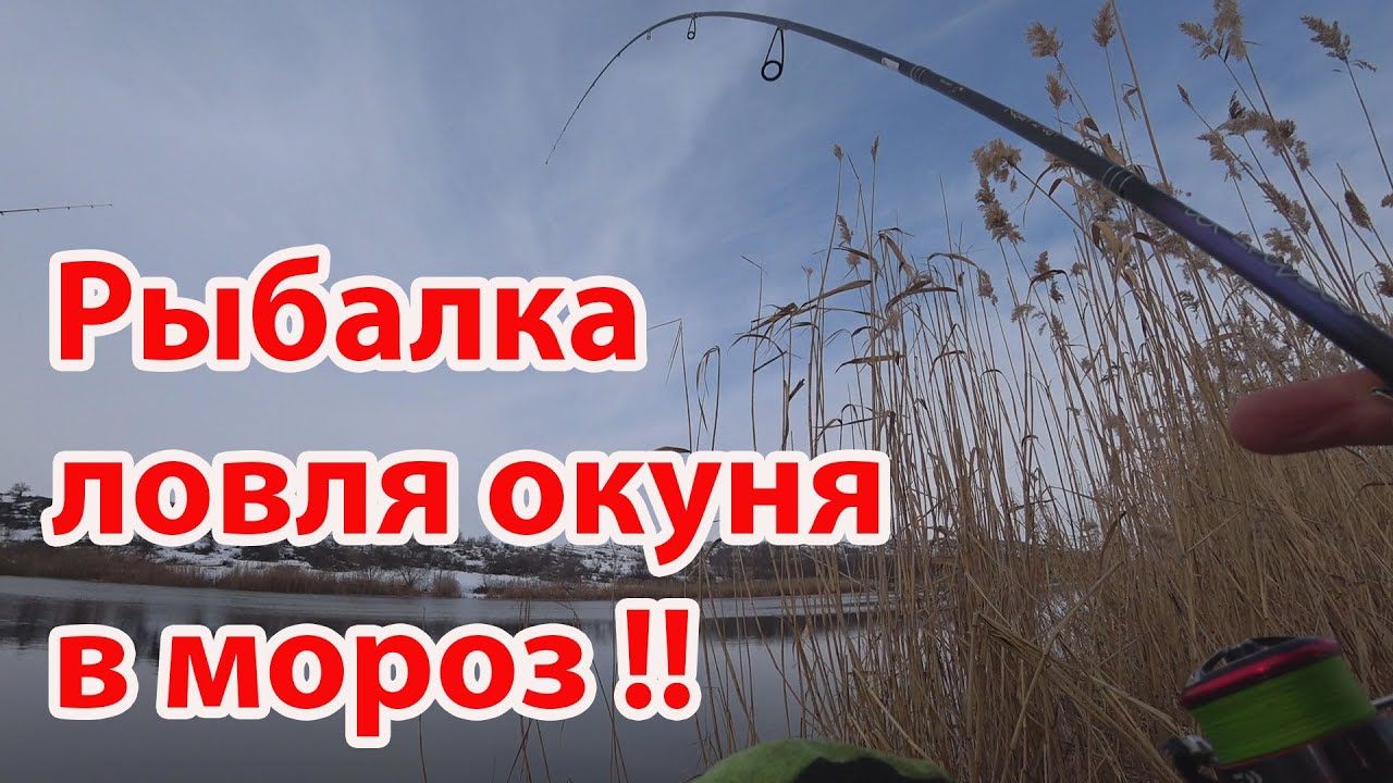 Зимний спиннинг рыбалка на окуня микроджиг