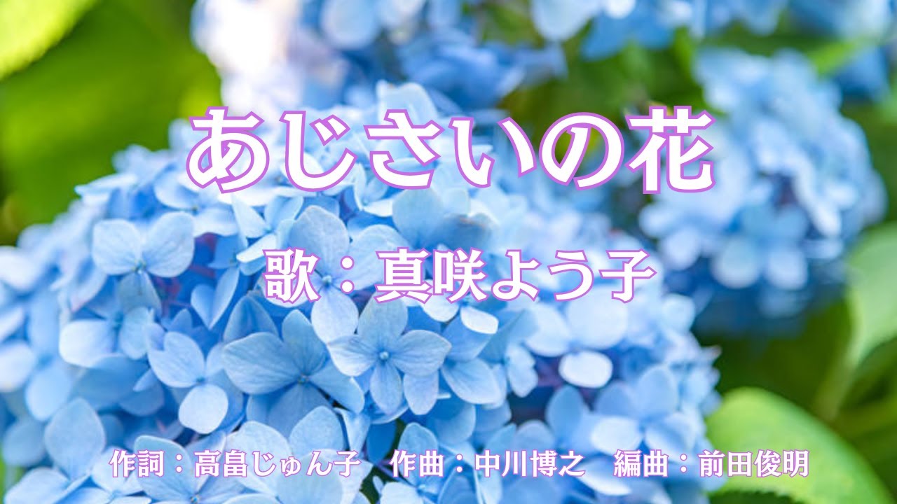 あじさいの花　　真咲よう子