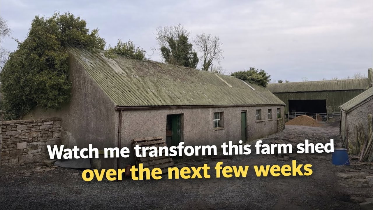 This Old Farm Shed Is About to Get a FULL Stone Transformation!