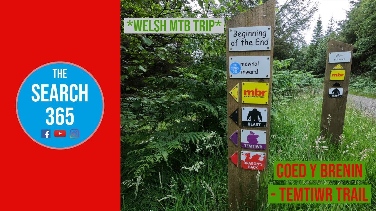Temtiwr Trail (RED) at Coed Y Brenin in Wales