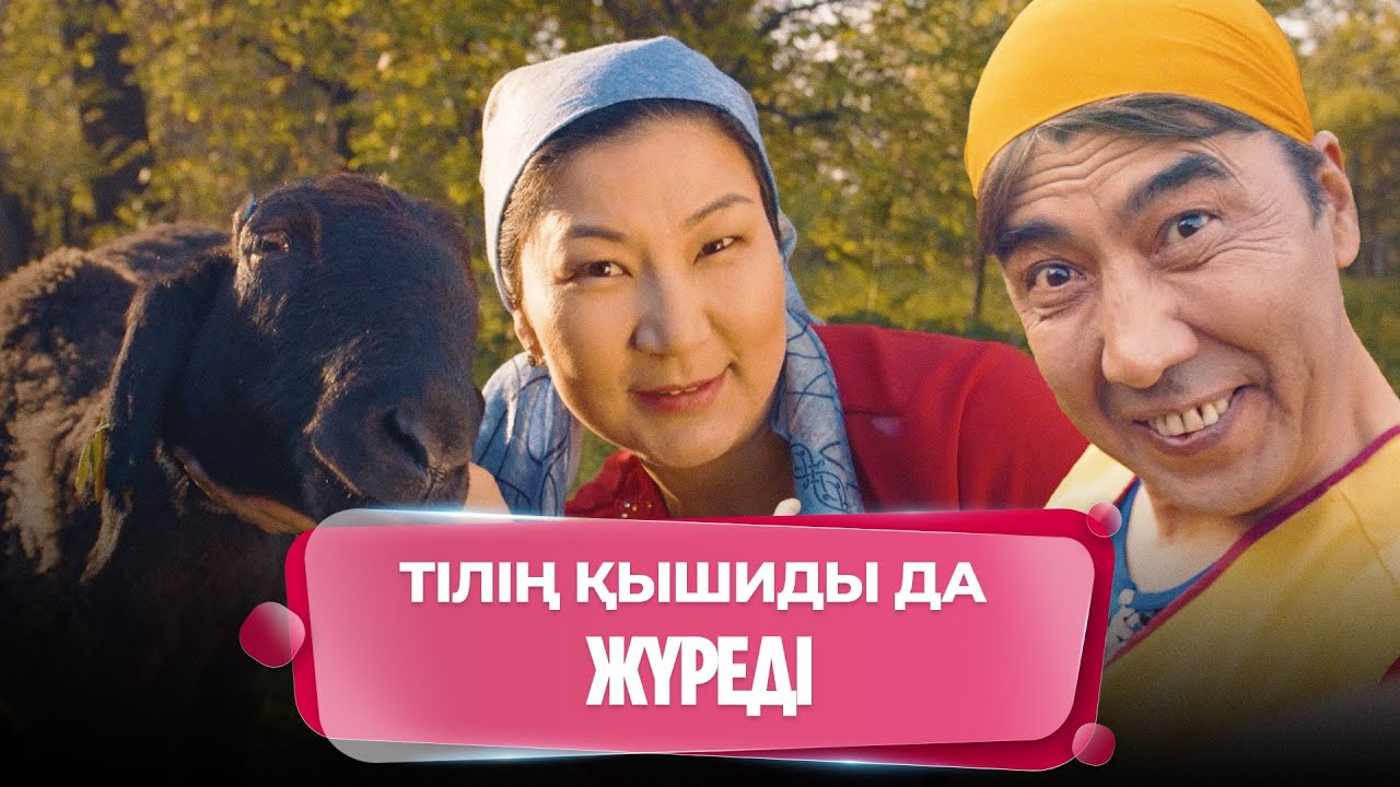 Құдайға шүкір, звездамыз | Күлпәштің әзілдері