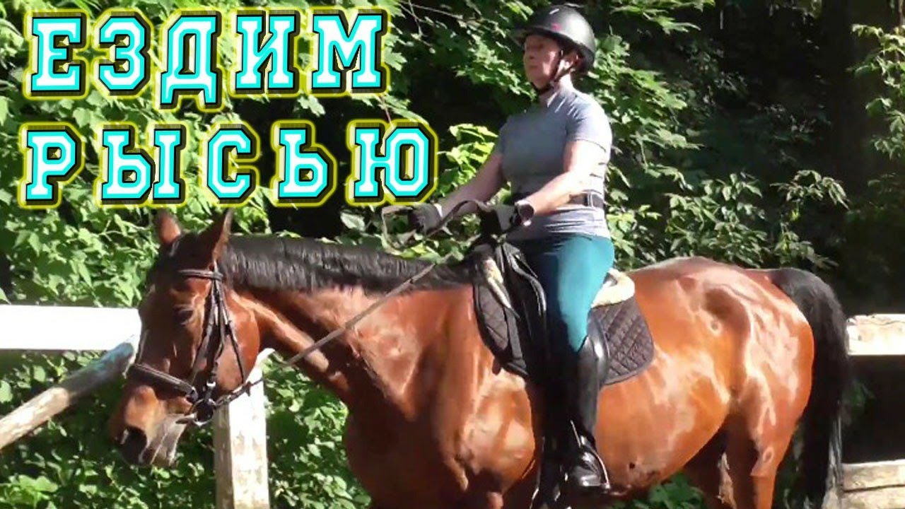 Учимся ездить рысью. Тренировка Оксана на Приме