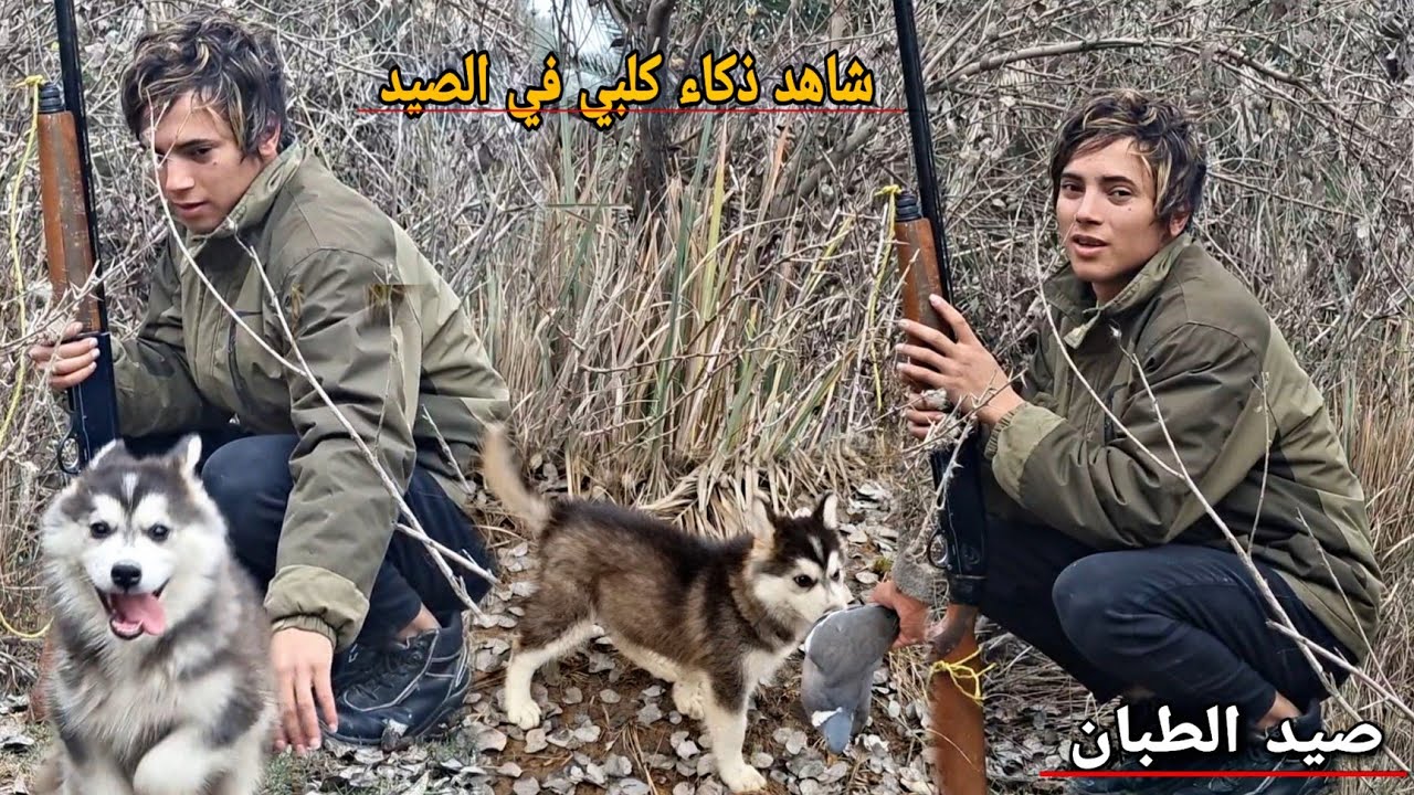 اخذت كلبي كاسبر لصيد الطبان فاجئني بذكائه