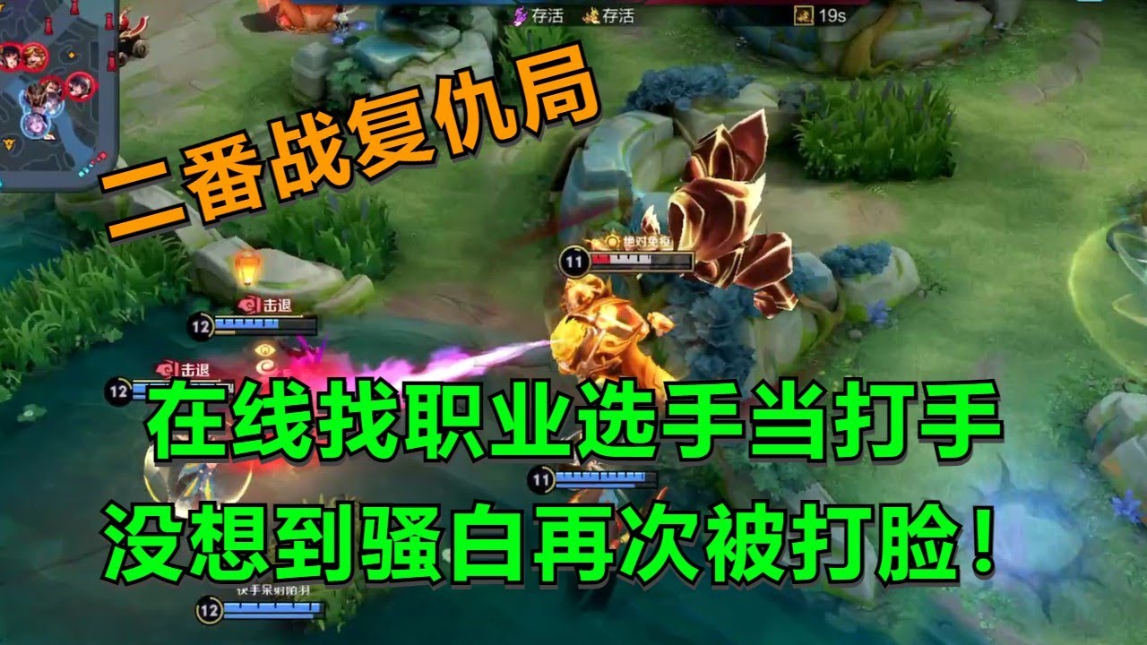 【王者荣耀骚白】在线找职业选手当打手  没想到骚白再次被打脸