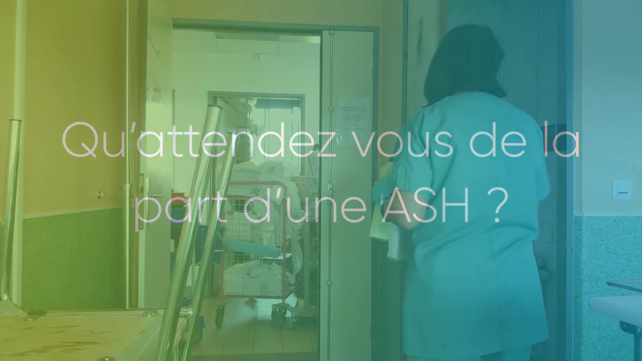 Présentation du métier ASH   Montage final   06 2018