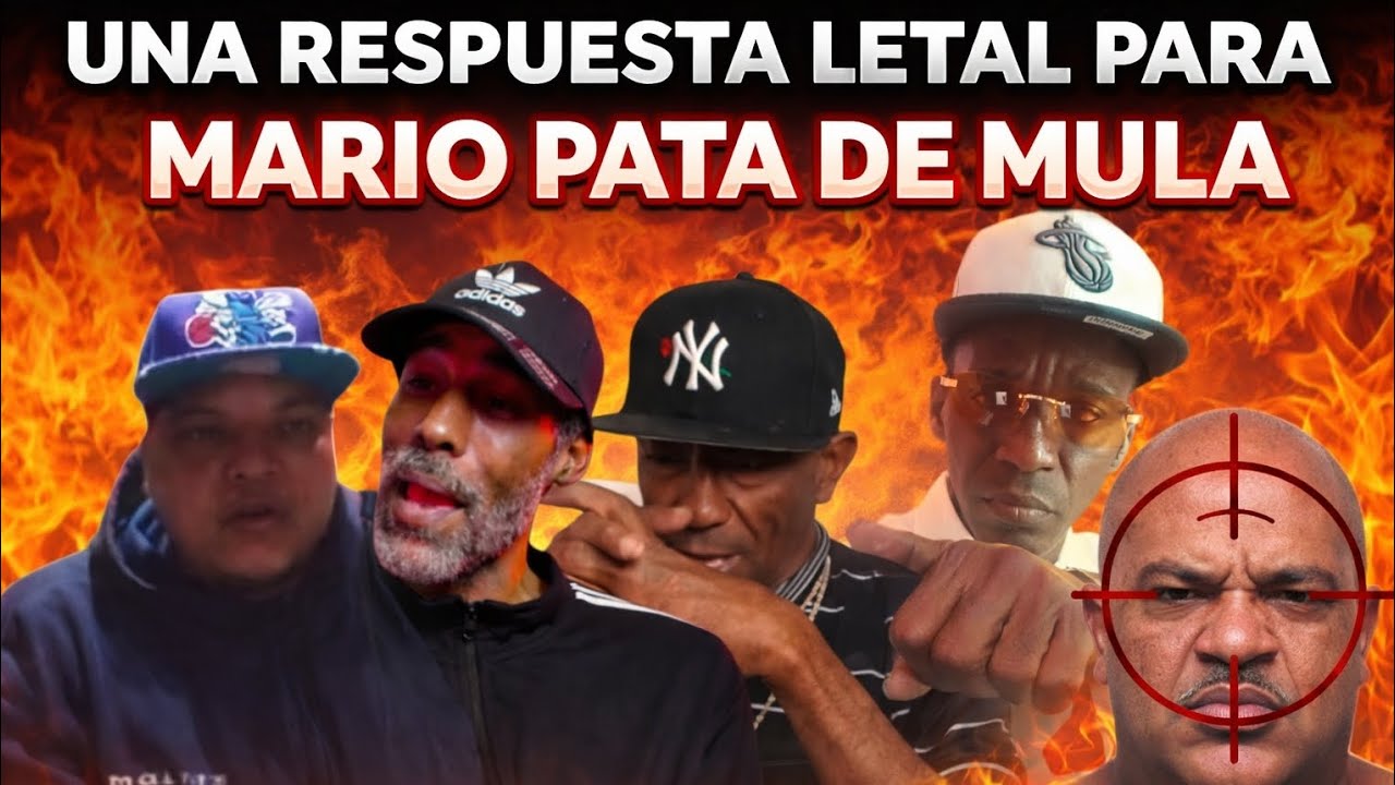 parte#2 una respuesta letal para Mario pata de mula y mensaje a ese ñt🔥🔥🔥🔥🔥👊