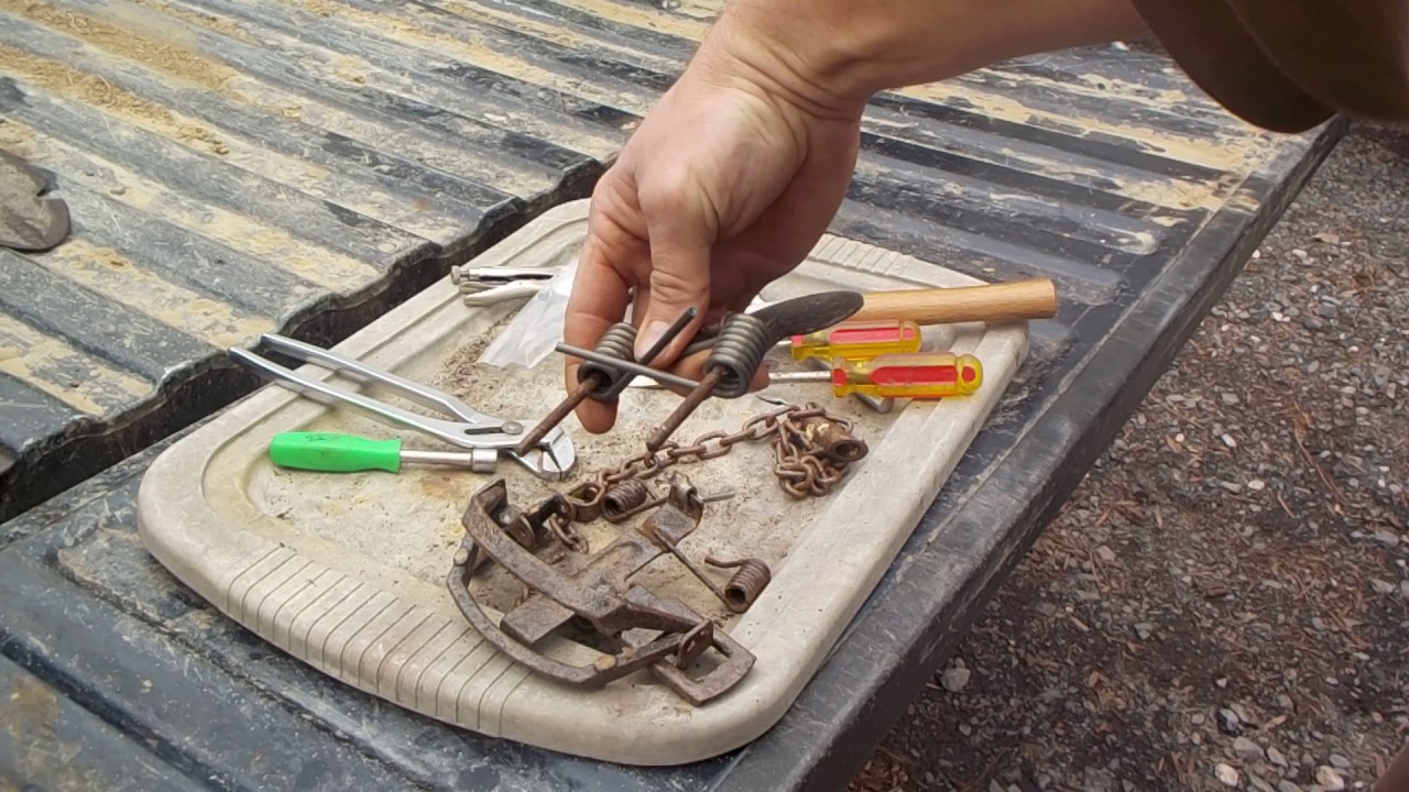 mb 550 coil spring replacement