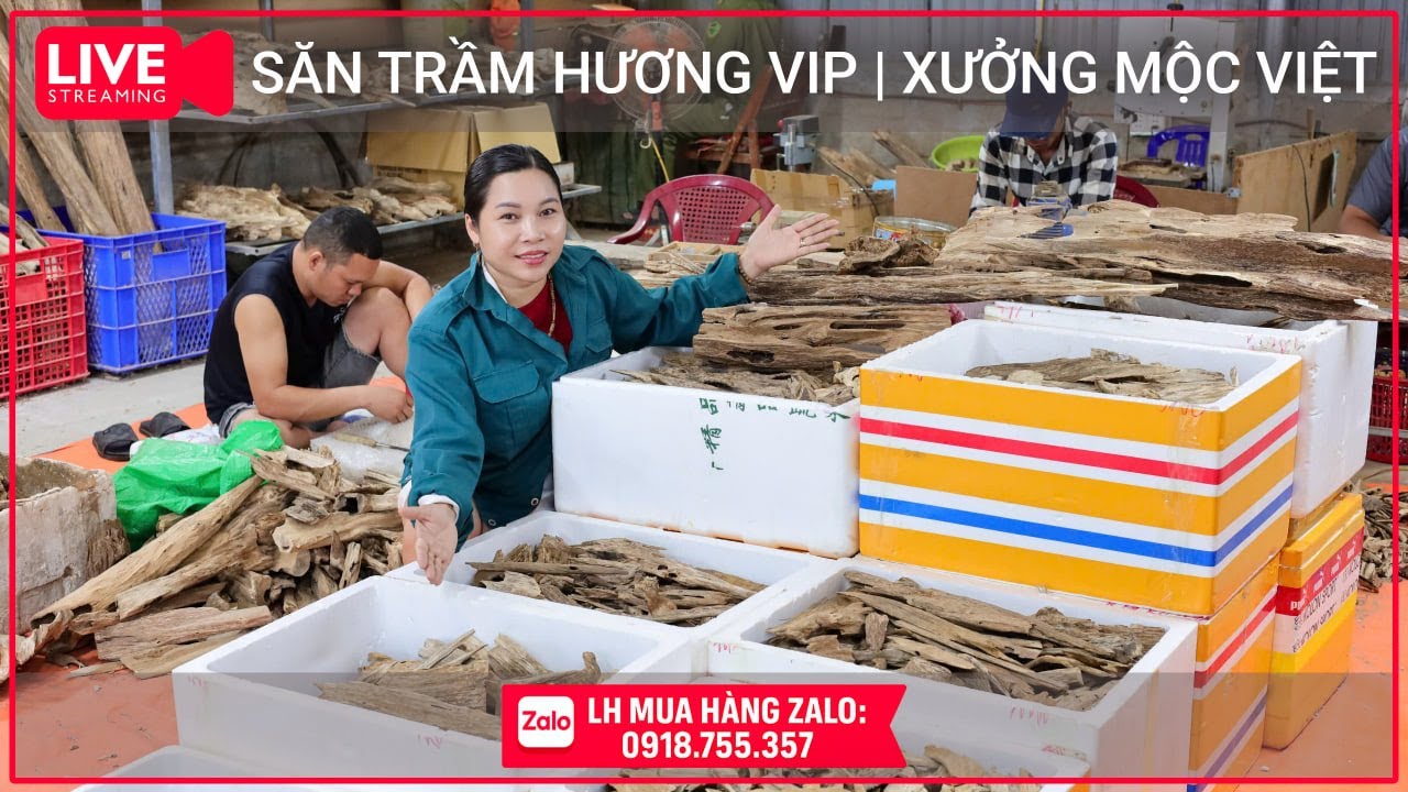 Chào mừng xuân Bính Ngọ  phát tài .Săn thêm ưu đãi tại Shopee Mall: https://s.shopee.vn/5fiM9GRBYH