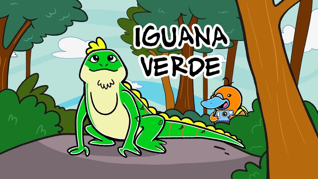Hola Flinko - Iguana Verde / Capítulo 9 Completo Temporada 1