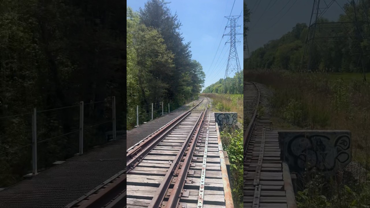 Fishing off the tracks| #Shorts #Fishing #Railroad #tracks #Bridge #Viral