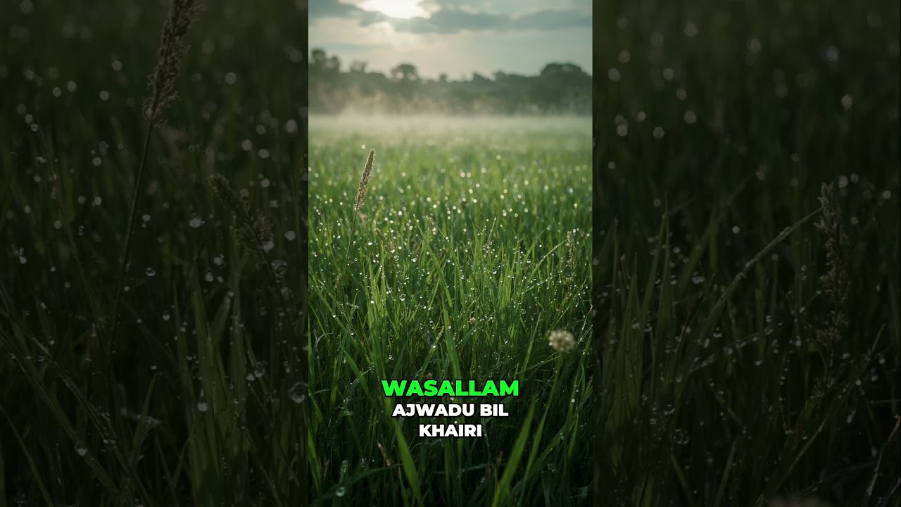 Prophet's (PBUH) Ramadan Generosity: Insights from Sahih Al-Bukhari #shorts