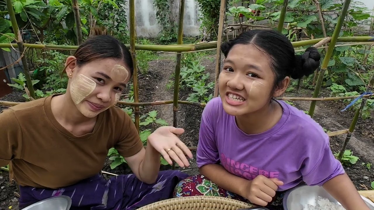 အာကျယ်ညီမနှစ်ယောက် ခံရပြန်ပြီ  ( Taw Thu Ma )