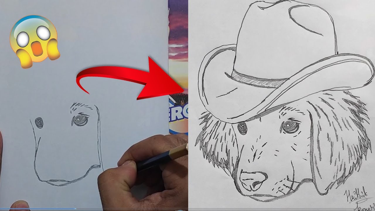 How To Draw Dog With Cap | Drawing | Sketch
