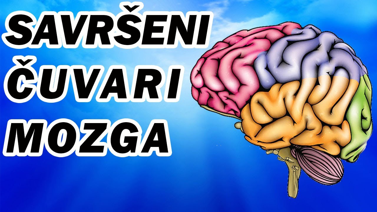 ZAŠTO NAS LAŽU O MOZGU I NAJBOLJOJ HRANI ZA PAMĆENJE, KONCENTRACIJU I INTELIGENCIJU? Dr Mihajlović
