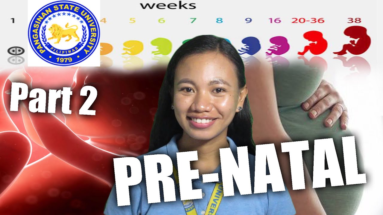 PRE-NATAL DEVELOPMENT (Part 2)