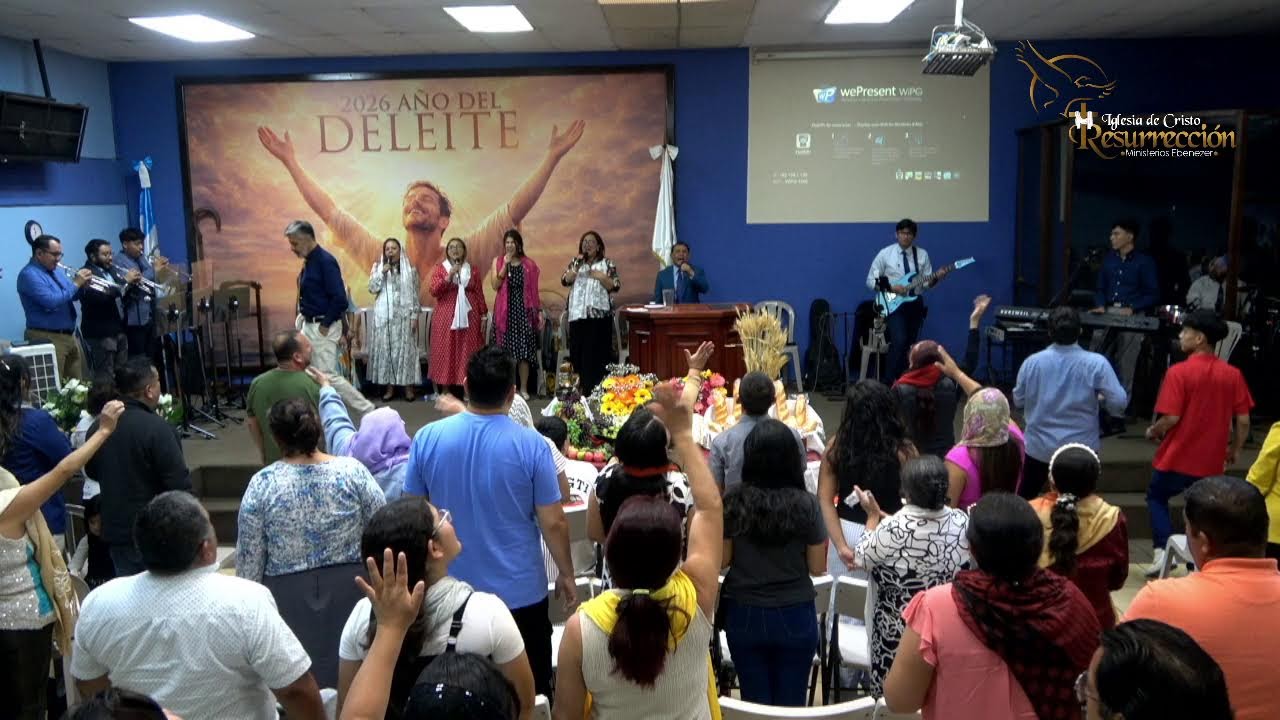 Tema: Metamorfosis.