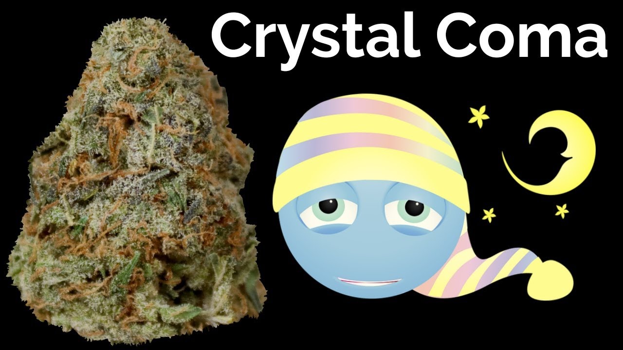 Crystal Coma OFFICIAL Strain Review