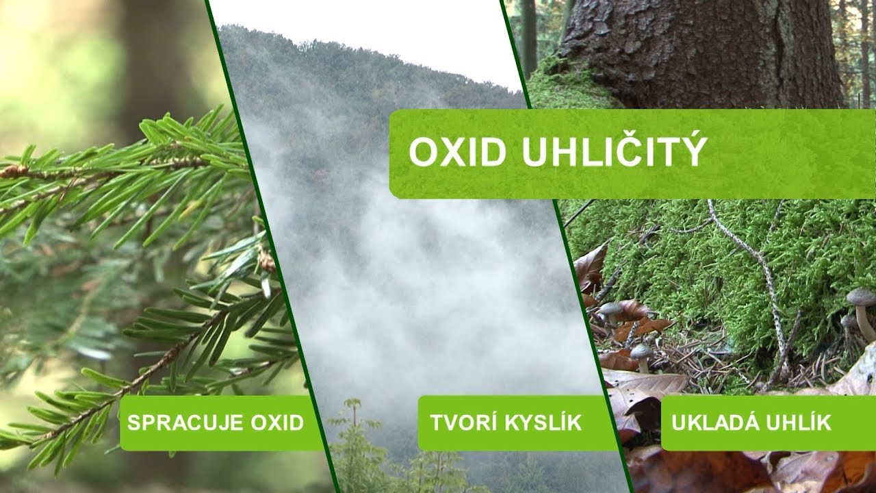 Oxid uhličit&yacute;