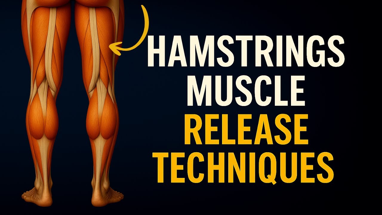 Hamstring Muscle Release Techniques | Reduce Tightness & Improve Mobility