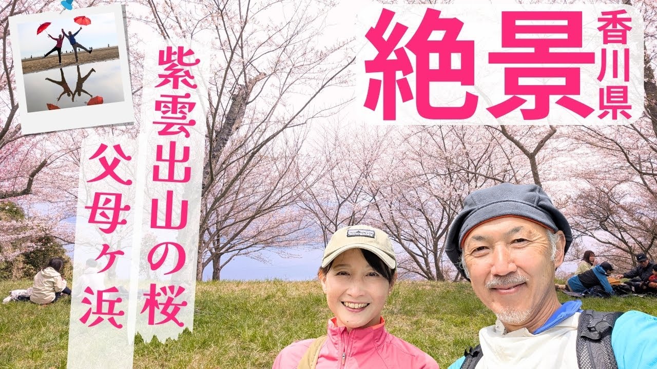 世界の絶景12選にも選ばれた紫雲出山の桜【香川県三豊市】