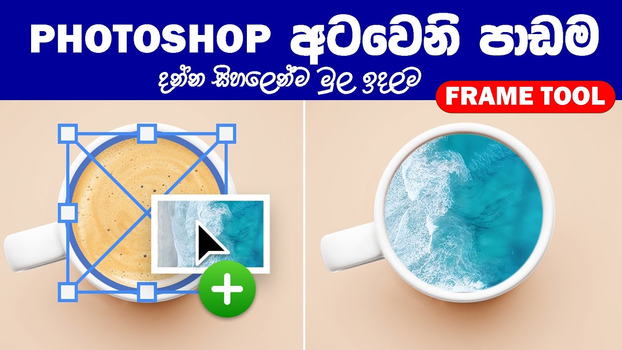 photoshop frame tool | Photoshop sinhalen | Photoshop Beginner Course  Part 08