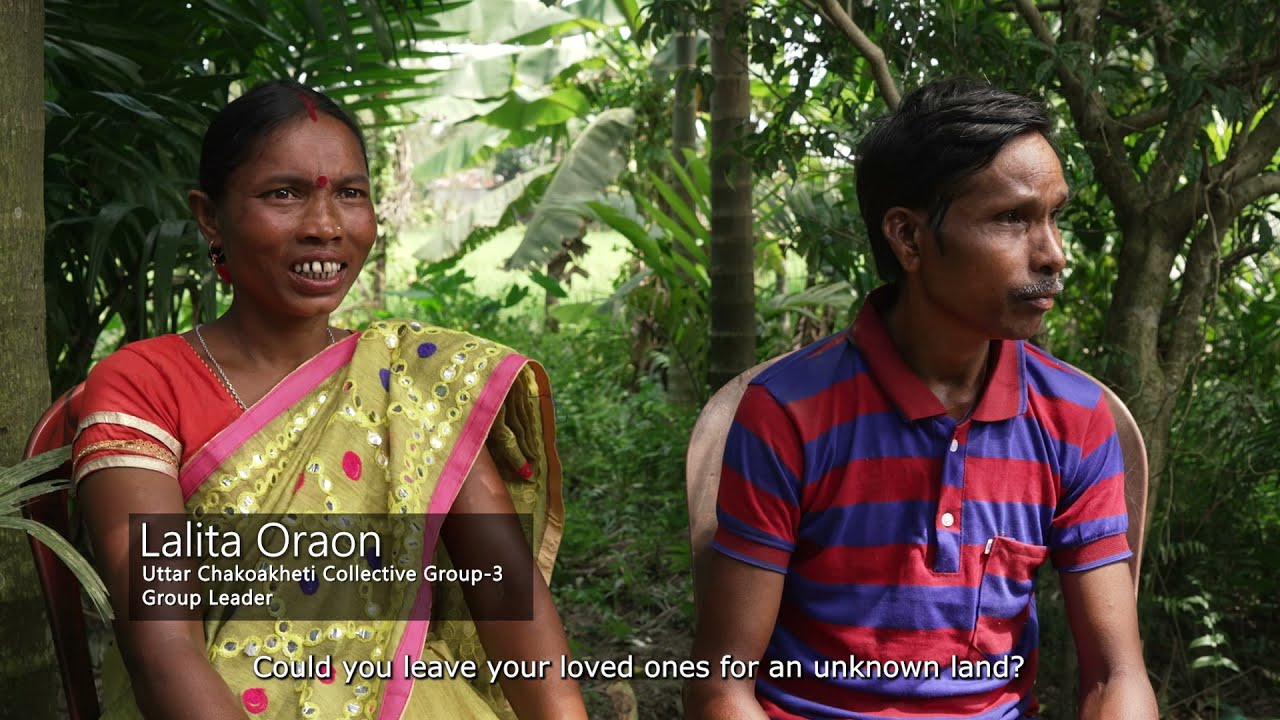Agriculture Collectives in North Bengal | IWMI