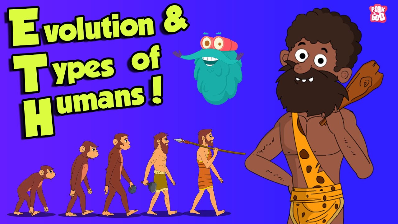 What Is Evolution & types of HUMANS | Dr Binocs Show | Peekaboo Kidz