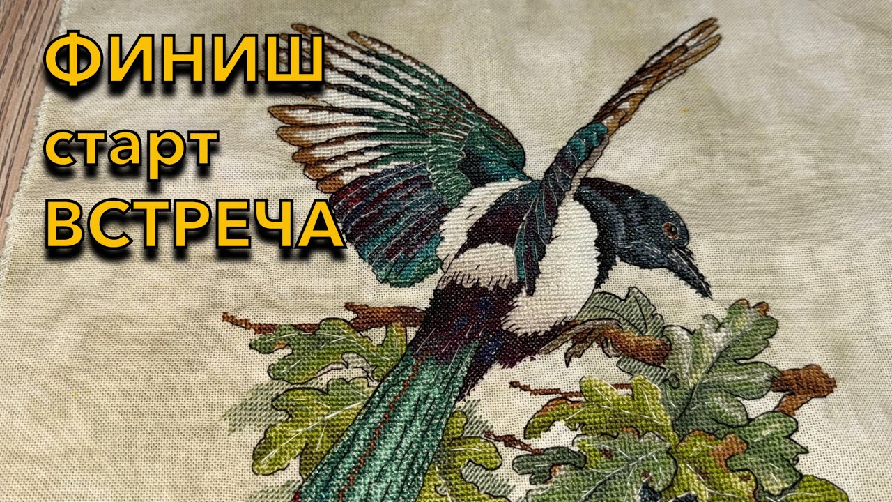 80. Финиш Сороки, старт Шпревальд осенью + встреча вышивальщиц