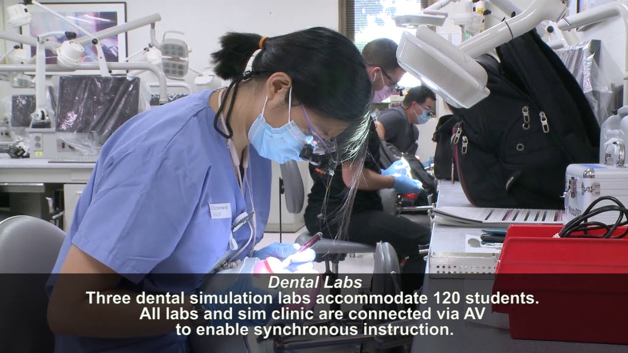 University of Louisville School of Dentistry Tour