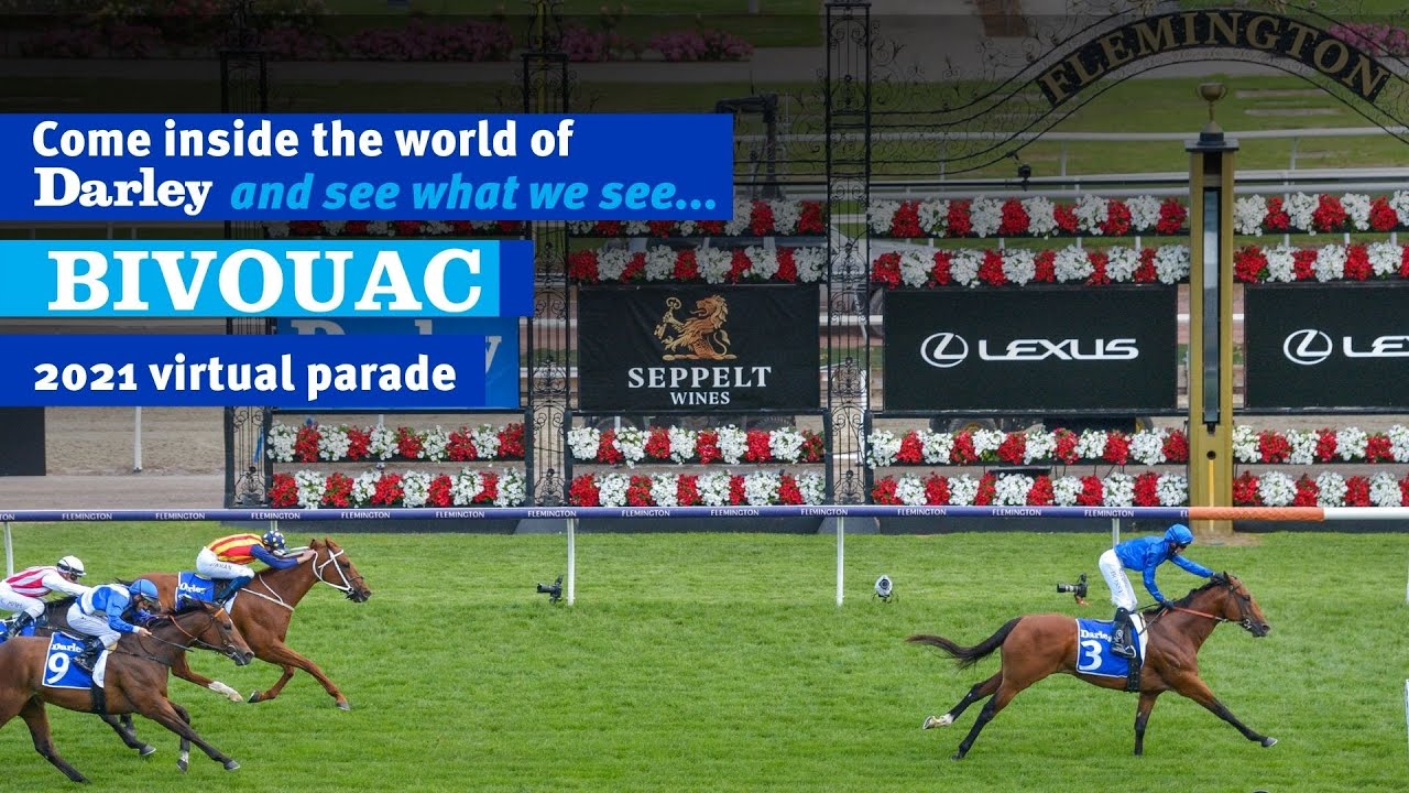 2021 Darley Australia Stallion Parade - Bivouac