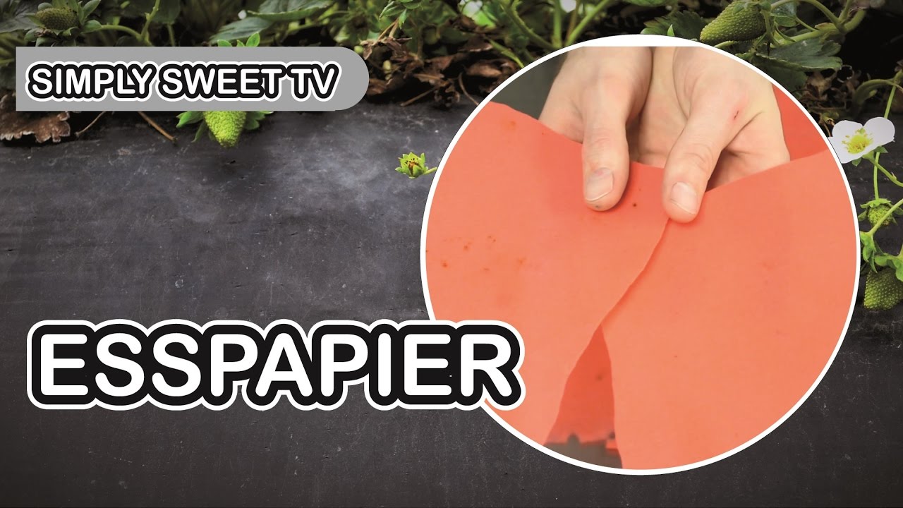 Esspapier