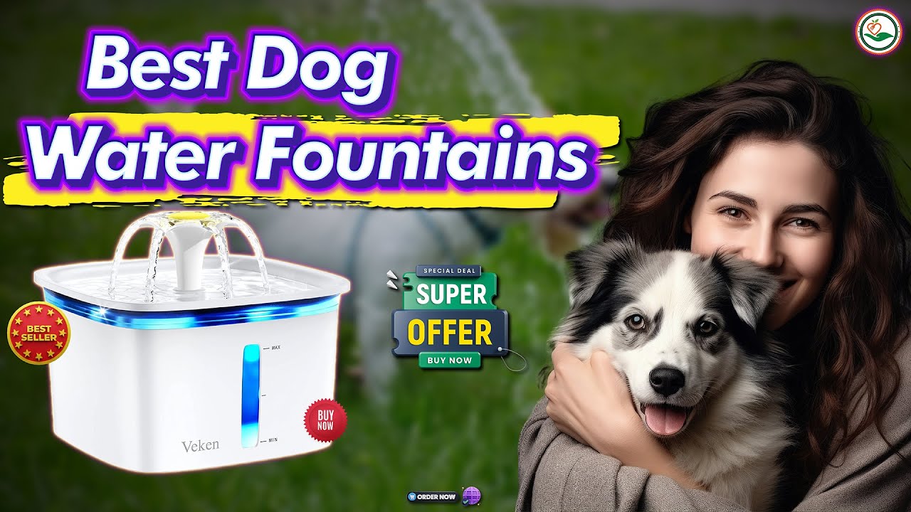 The BEST Dog Water Fountains Revealed Portable Options Included