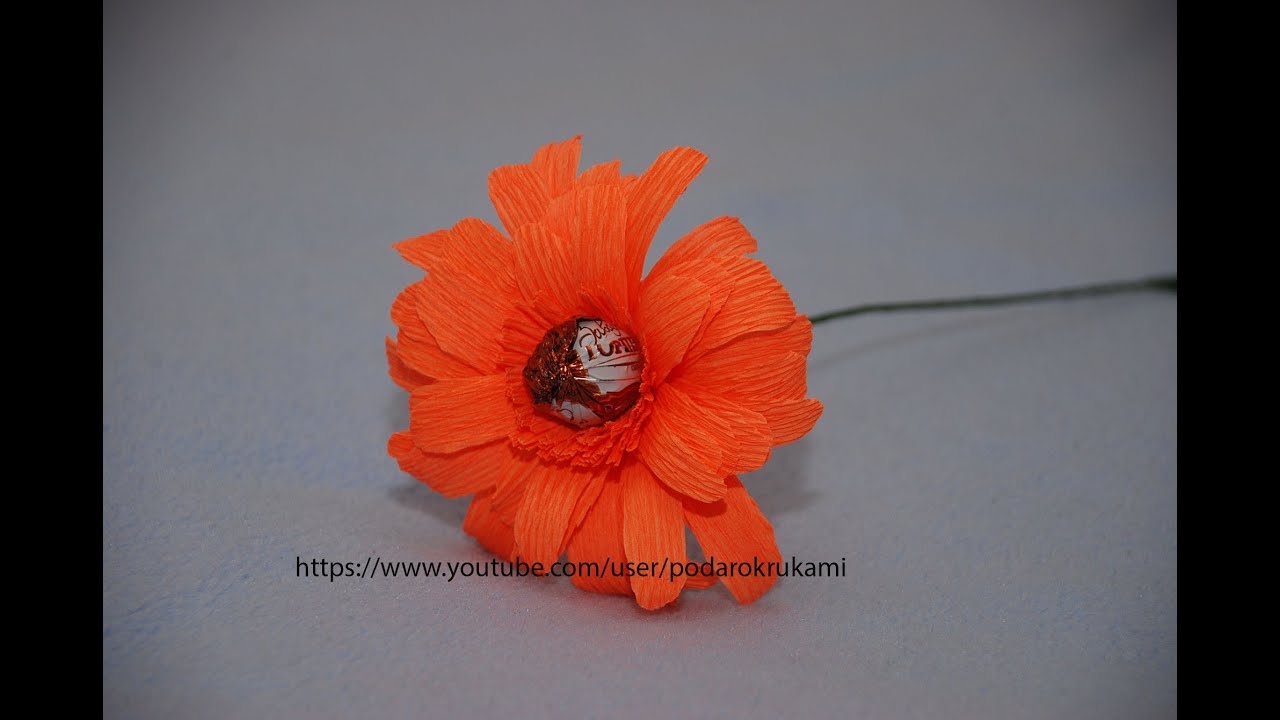 Цветы гербера из конфет и бумаги. Gerbera from sweet and paper