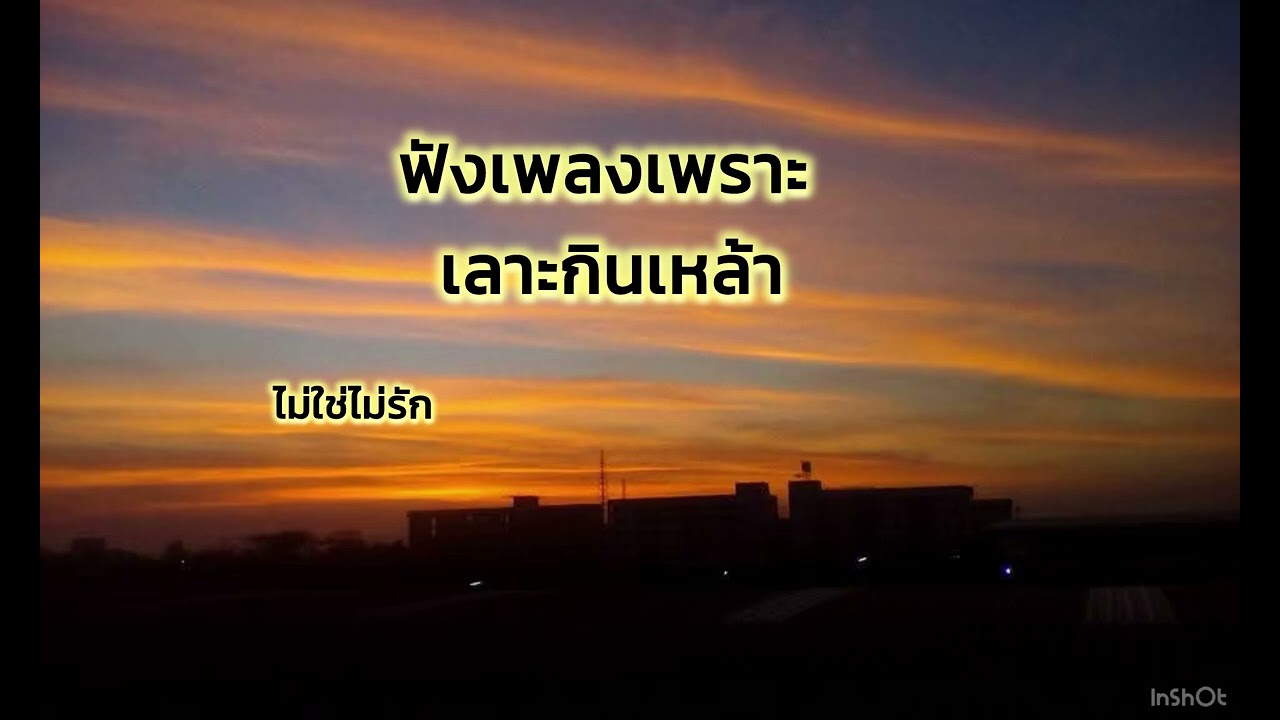 #ฟังเพลงเพราะ เลาะกินเหล้า_ไม่ใช่ไม่รัก_แบบนี้คงดีพอสำหรับฉัน
