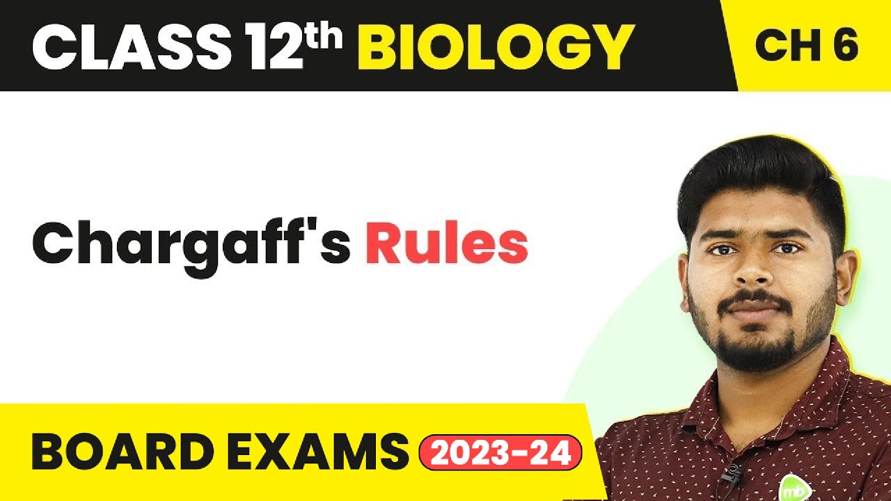Class 12 Biology Chapter 6 | Chargaff's Rules - Molecular Basis of Inheritance (2022-23)