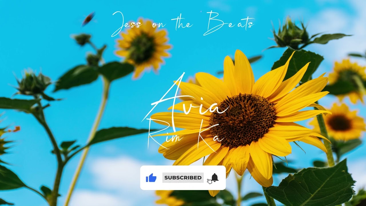 Rim Ka Avia Instrumental Remaked 2024 by @jessonthebeats1873