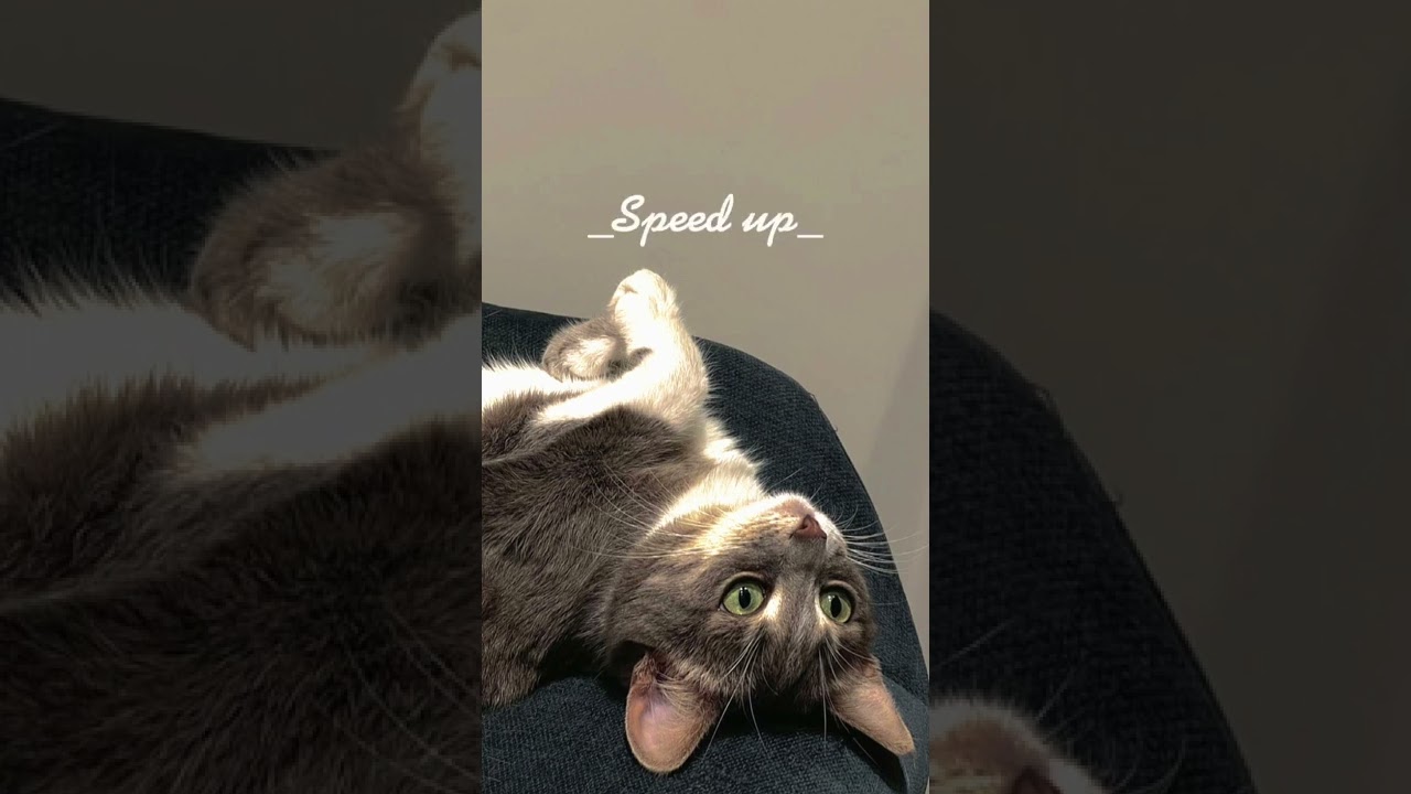 Земфира-,,До свидания"(speed up)